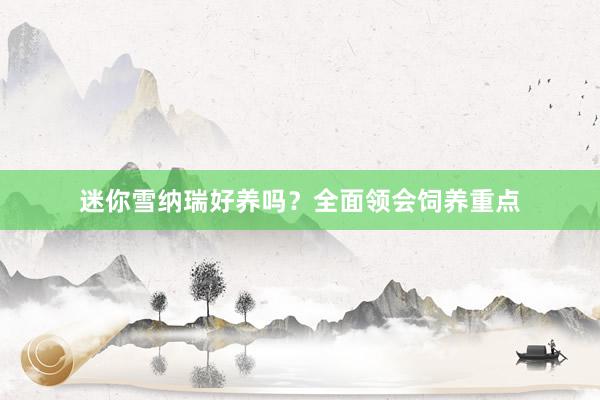 迷你雪纳瑞好养吗?全面领会饲养重点