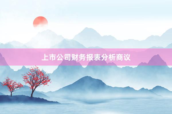 上市公司财务报表分析商议